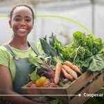 Crédito Rural - Custeio Agrícola: conheça os planos e benefícios