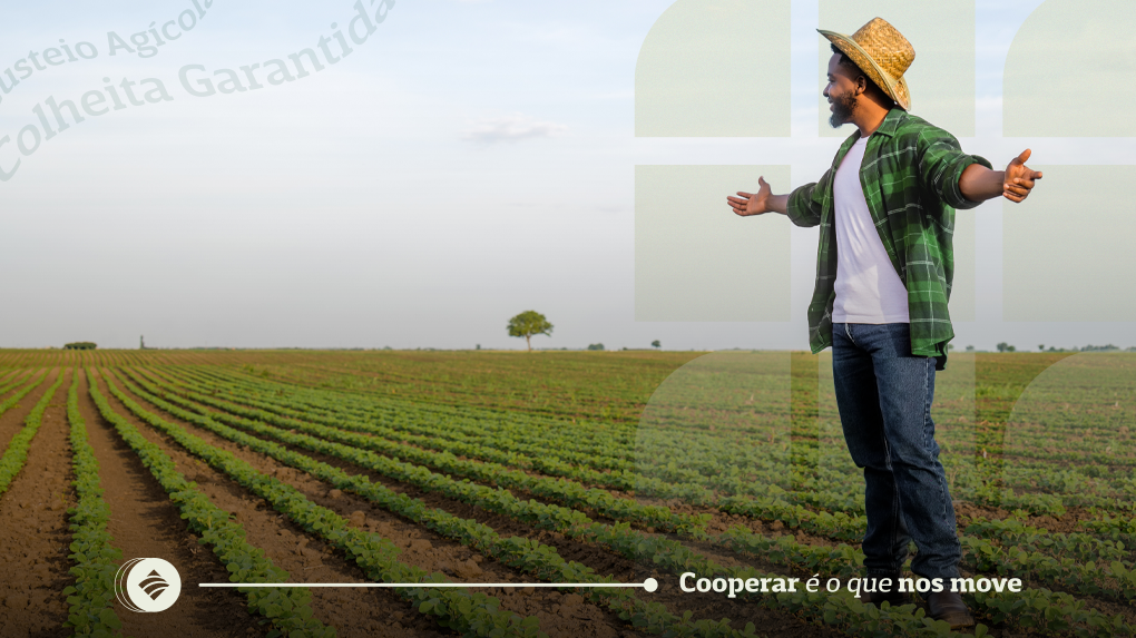 Seguro colheita garantida e custeio agrícola, o que esperar deles