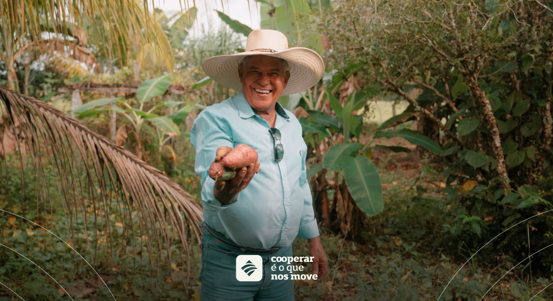 Agricultura Familiar - Cooperado CrediSIS sorrindo e segurando batatas em uma das mãos